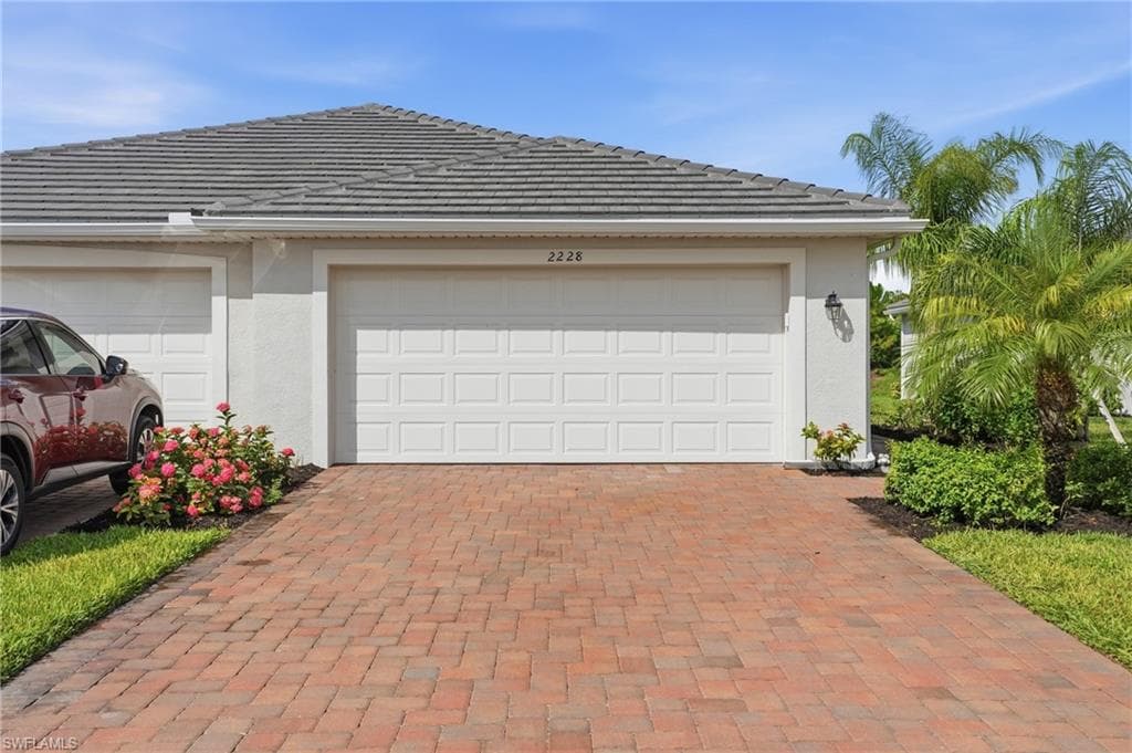 2228 Dragonfruit WAY-1