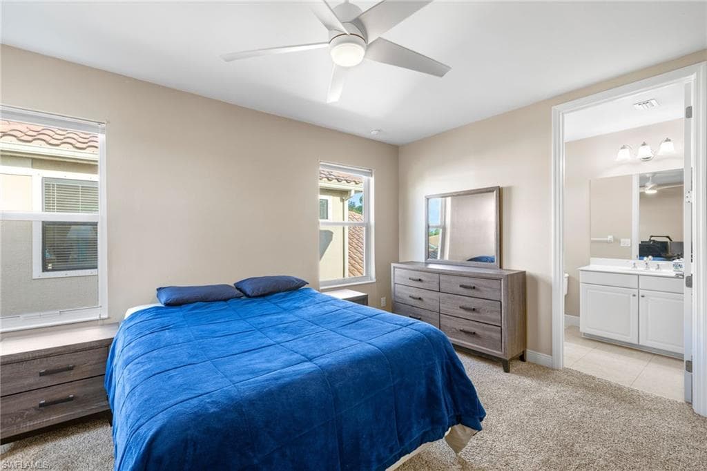 3675 Canopy CIR-27