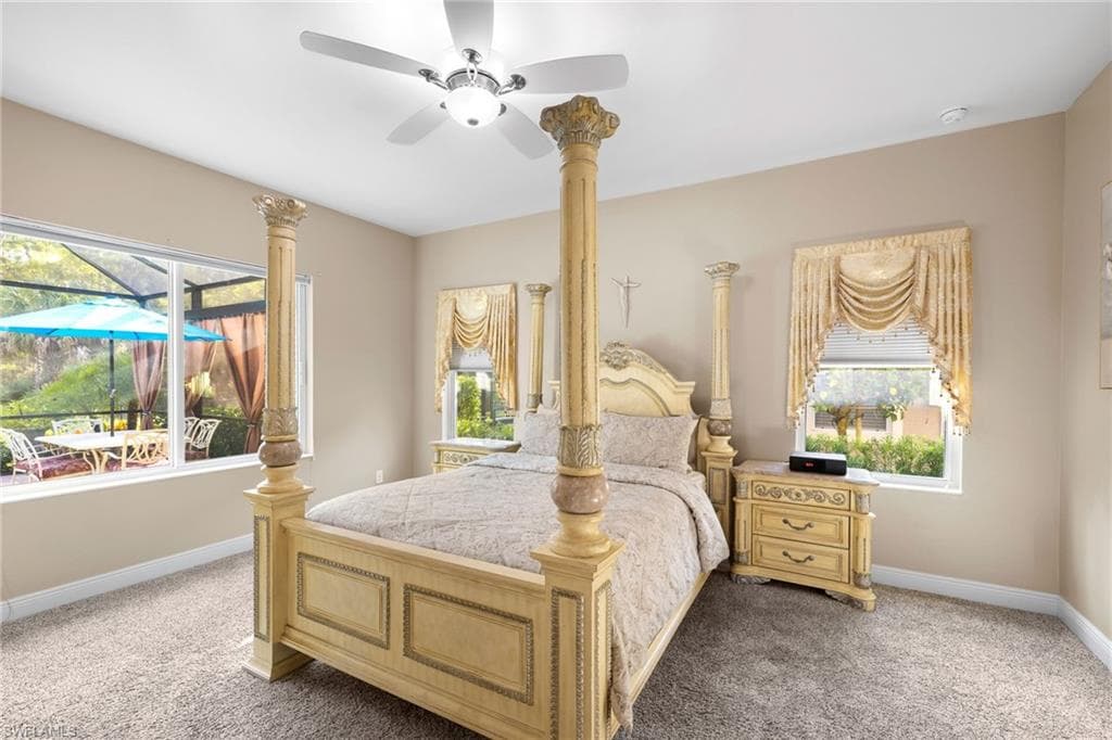 3675 Canopy CIR-19