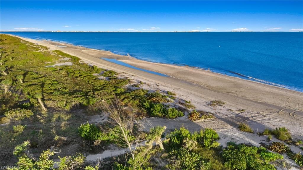 791 Sand Dollar DR-42
