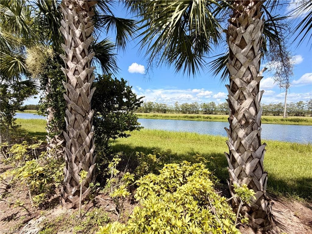 4941 Gambero WAY-7