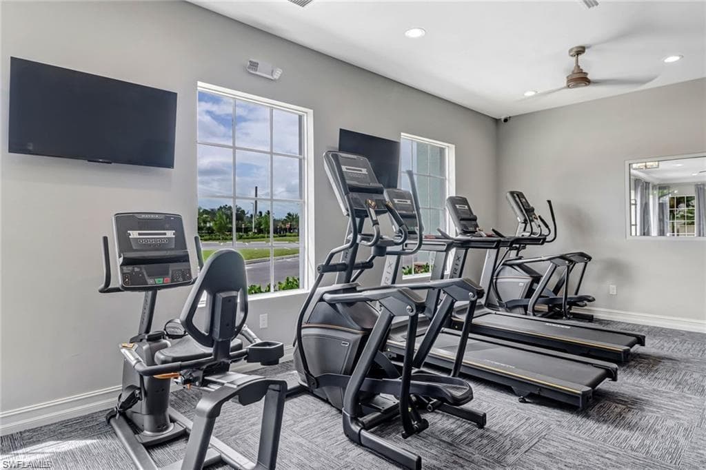 259 Tamarindo LN-49