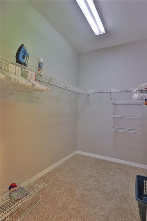 20510 Ardore LN-20
