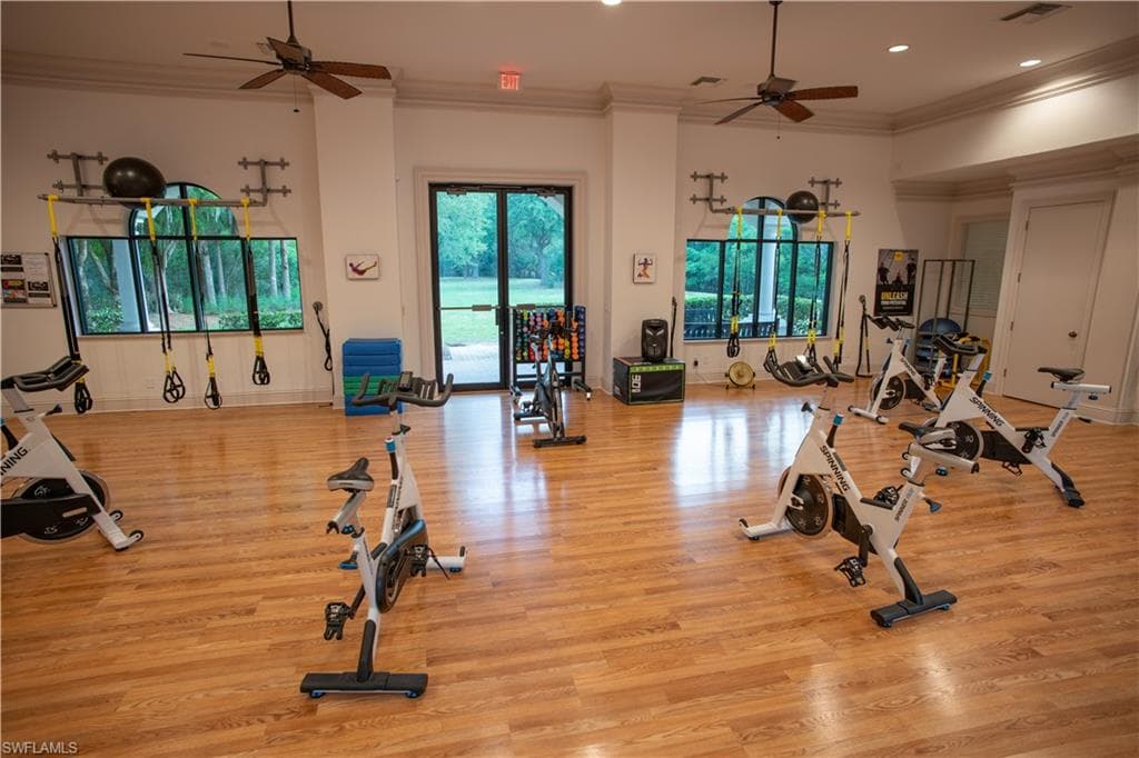12574 Grandezza CIR-50