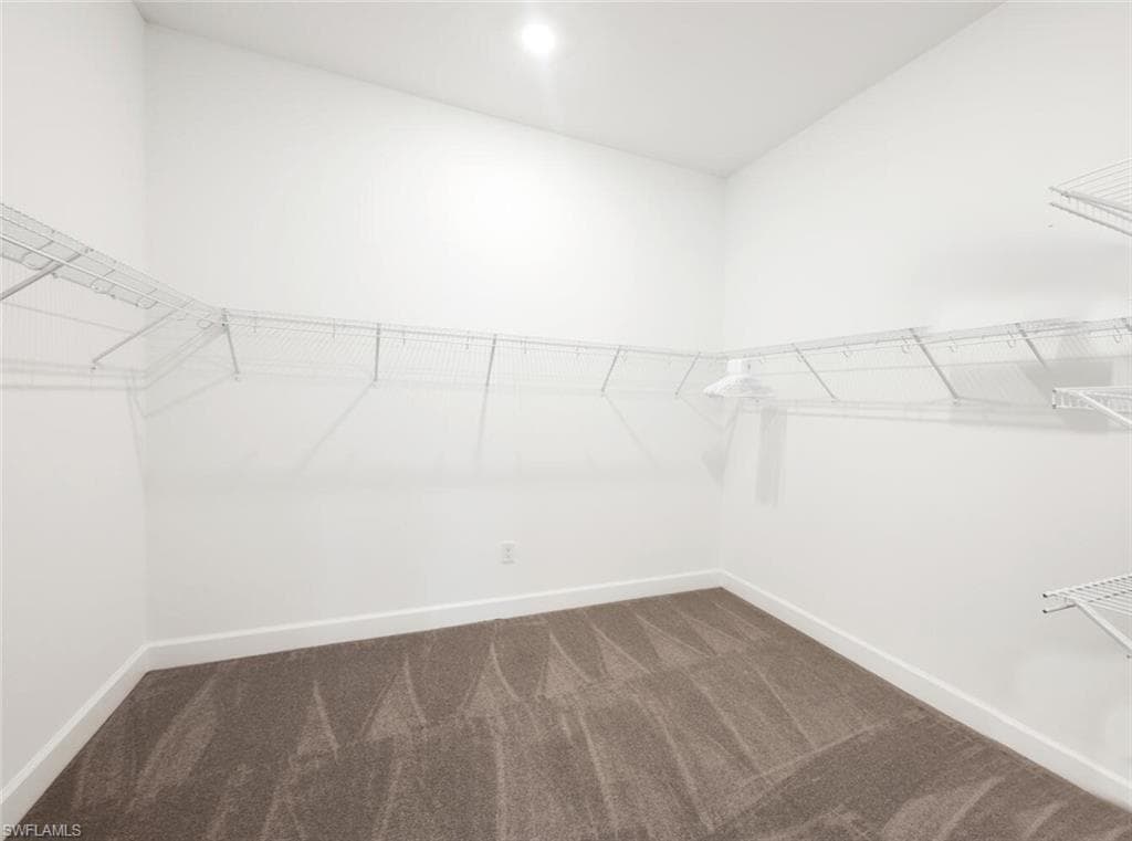 8448 Rosa CT-17