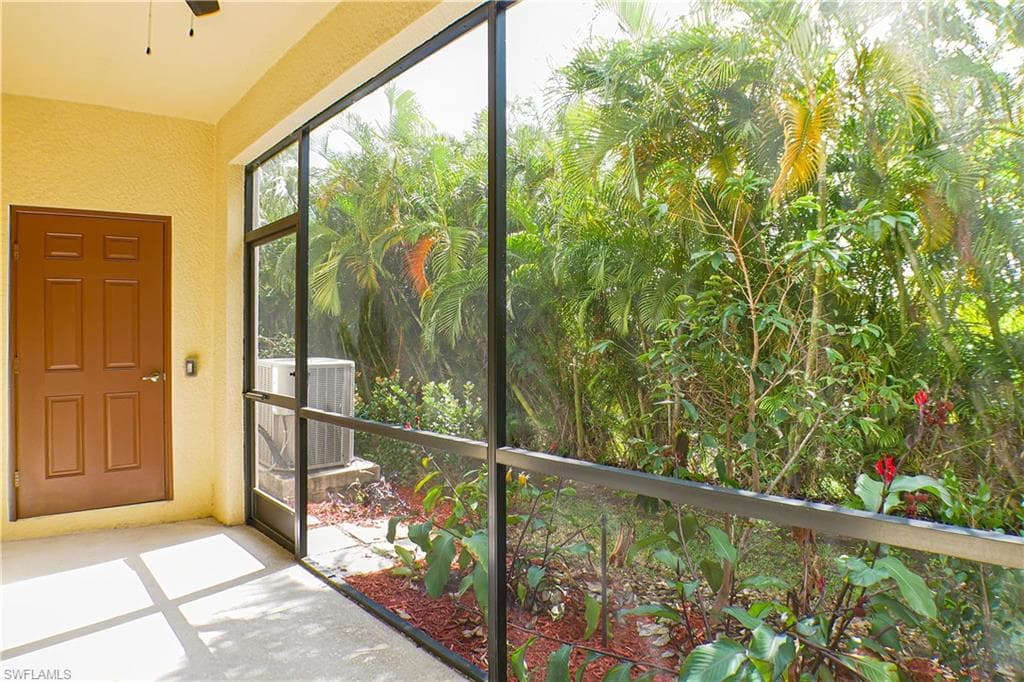 14688 summer rose WAY-19