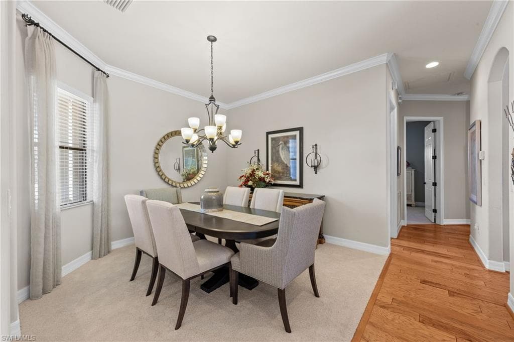 13501 Brown Bear RUN-7