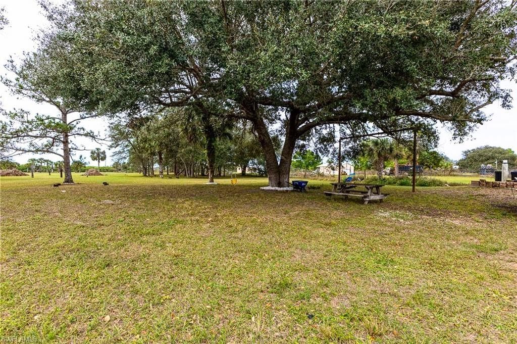 16451 Wildcat DR-31