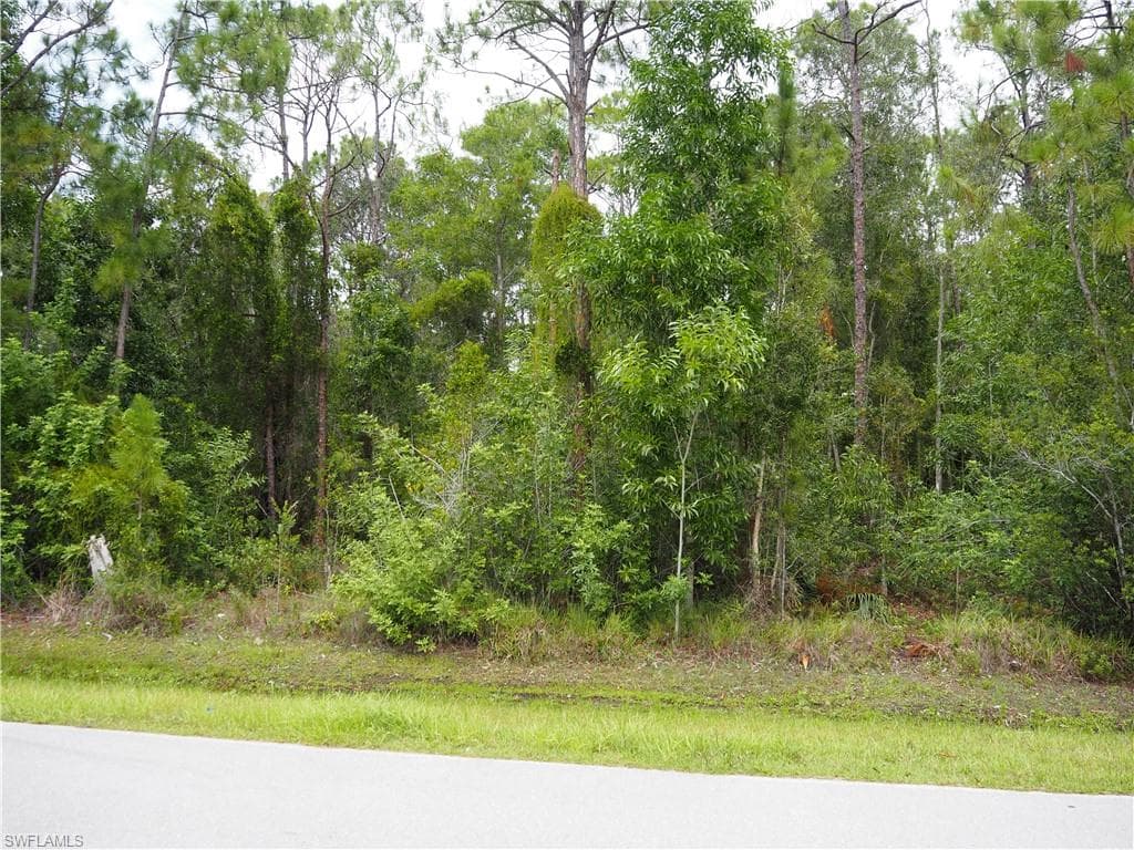 24310 Golden Eagle LN-2