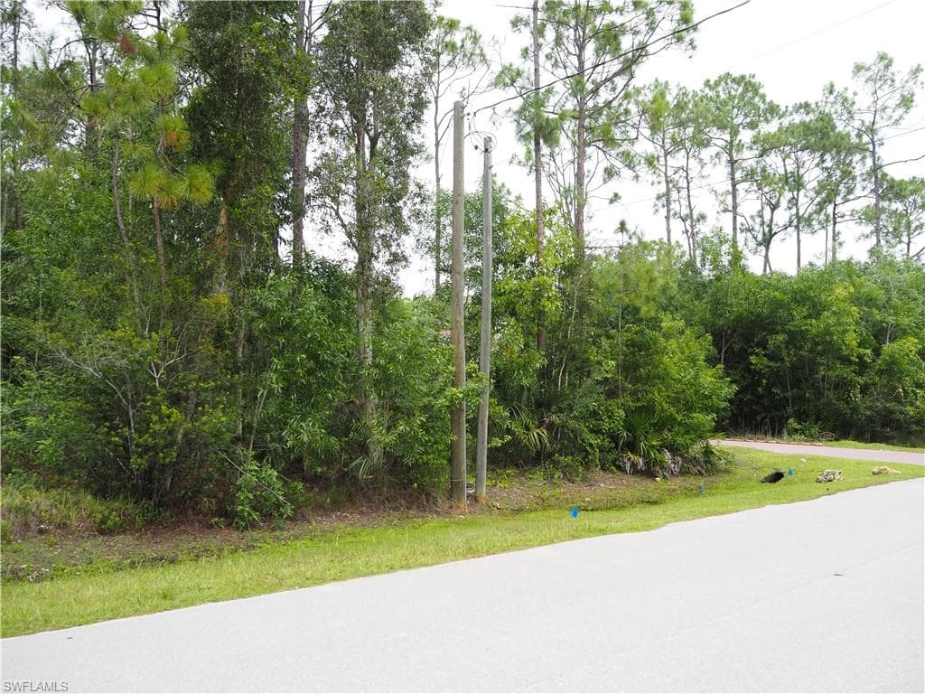24310 Golden Eagle LN-3