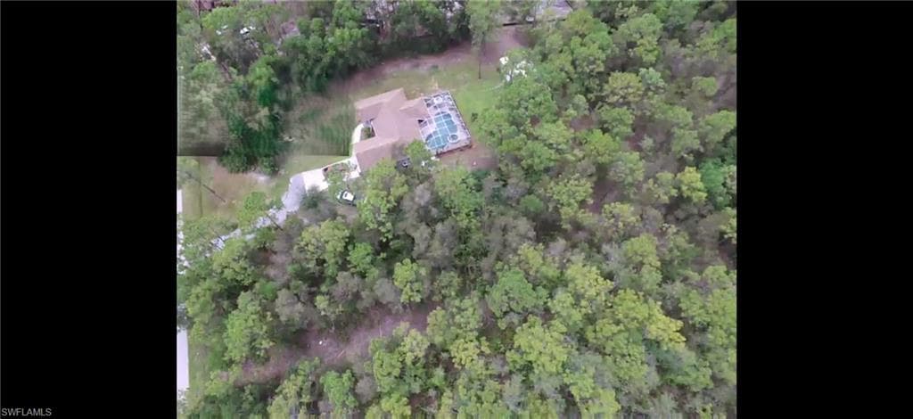 24310 Golden Eagle LN-4