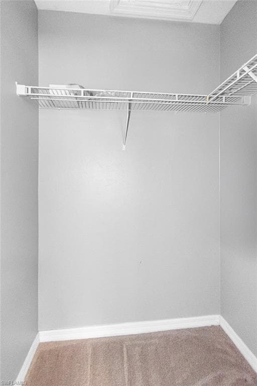 10191 Tin Maple DR 88-26