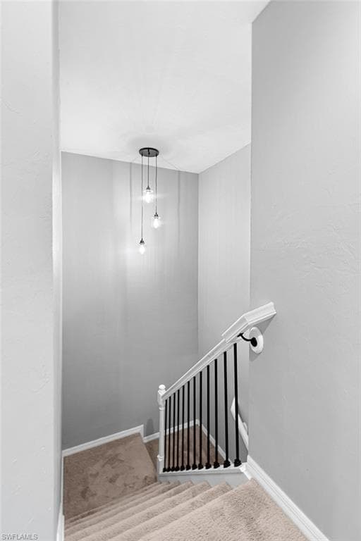 10191 Tin Maple DR 88-18