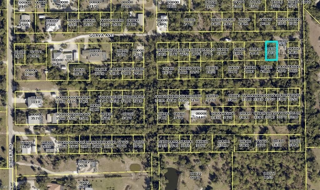 Guava AVE-1