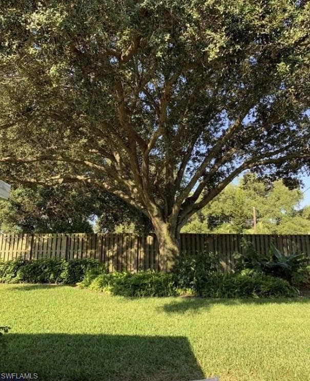 21174 Butchers Holler-4