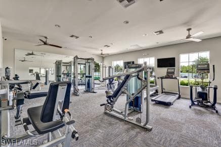 426 Tamarindo LN-40