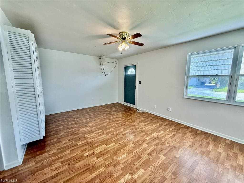 36 Heath Aster LN-6