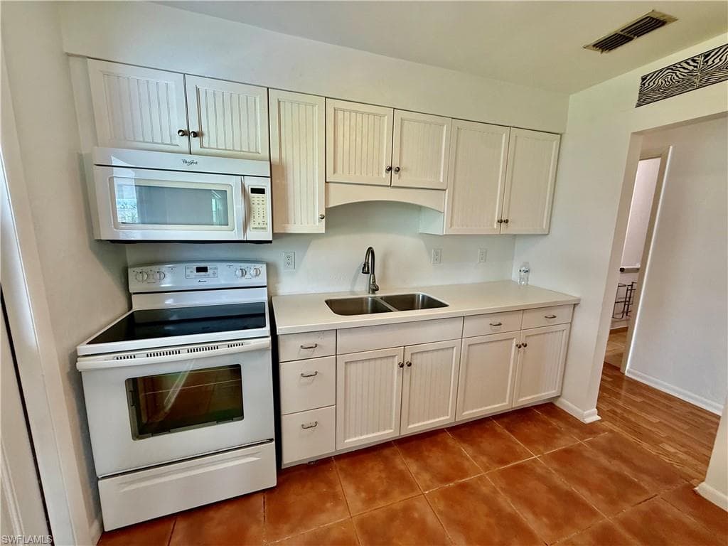 36 Heath Aster LN-12