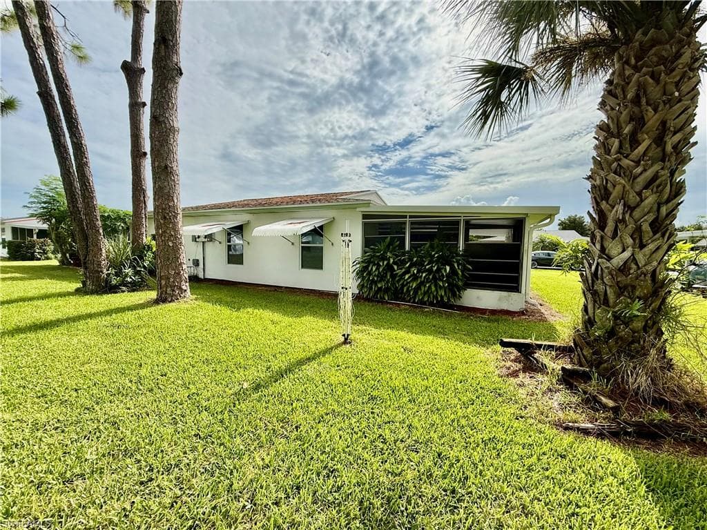 36 Heath Aster LN-3