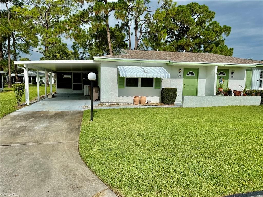 36 Heath Aster LN-1