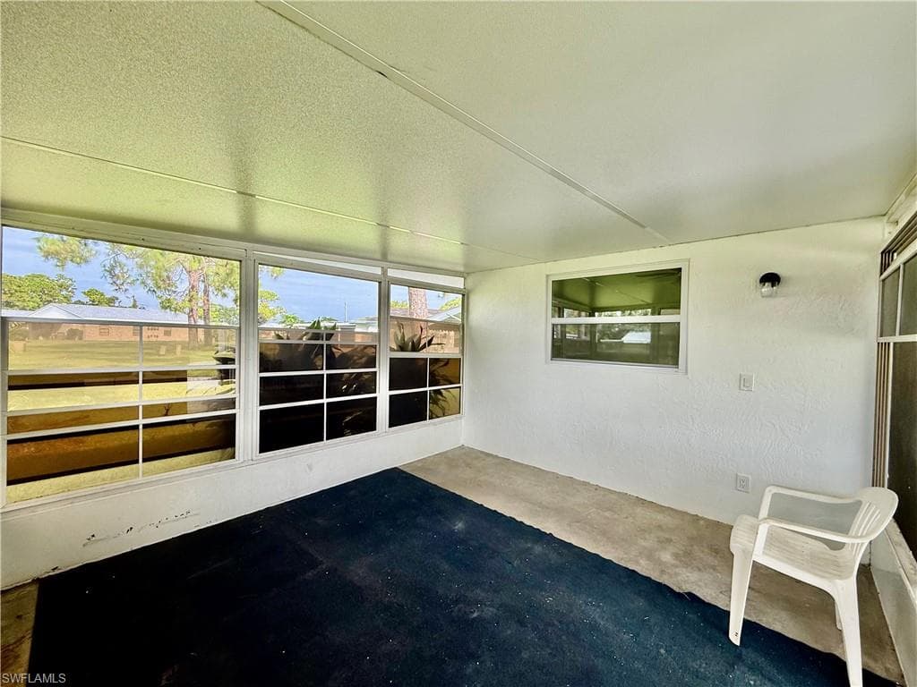 36 Heath Aster LN-5