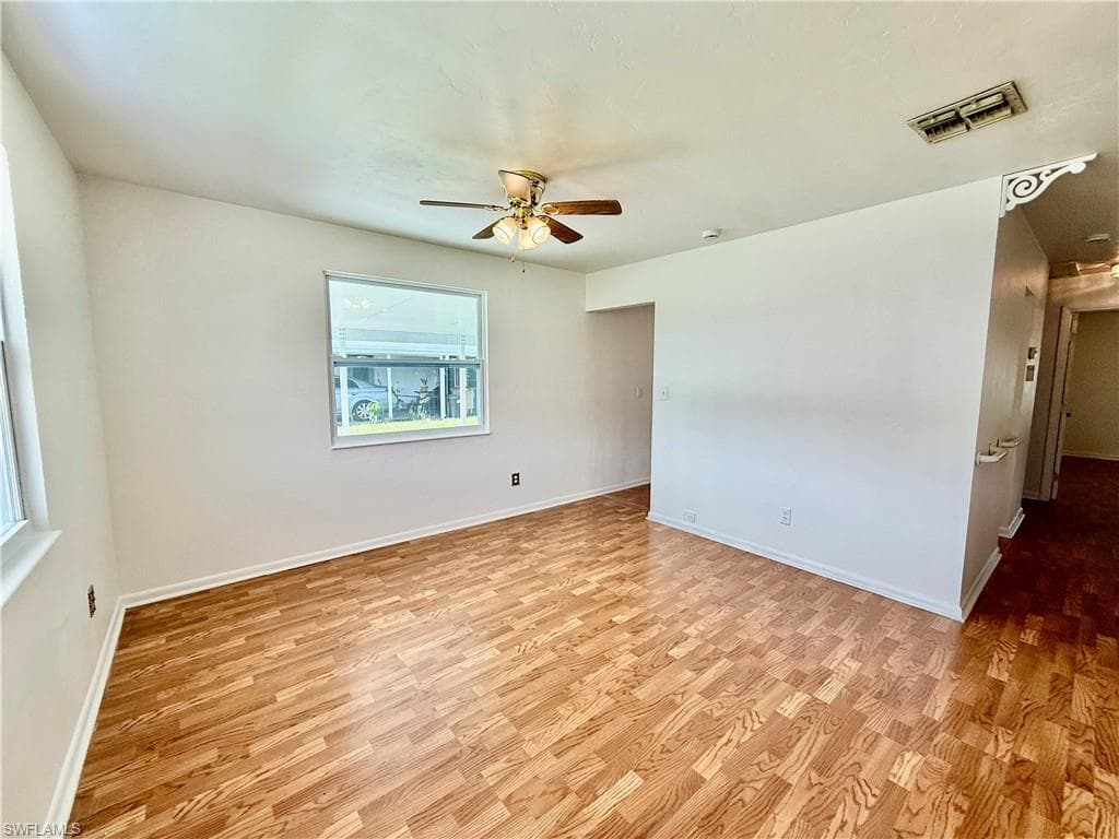 36 Heath Aster LN-9