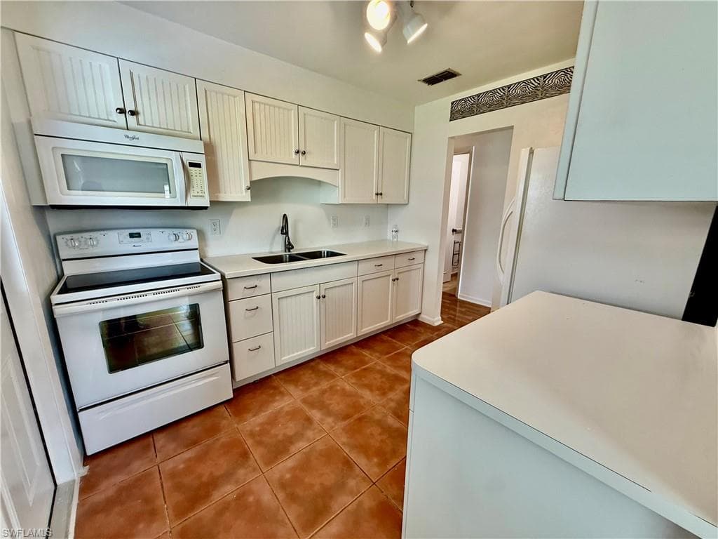 36 Heath Aster LN-10