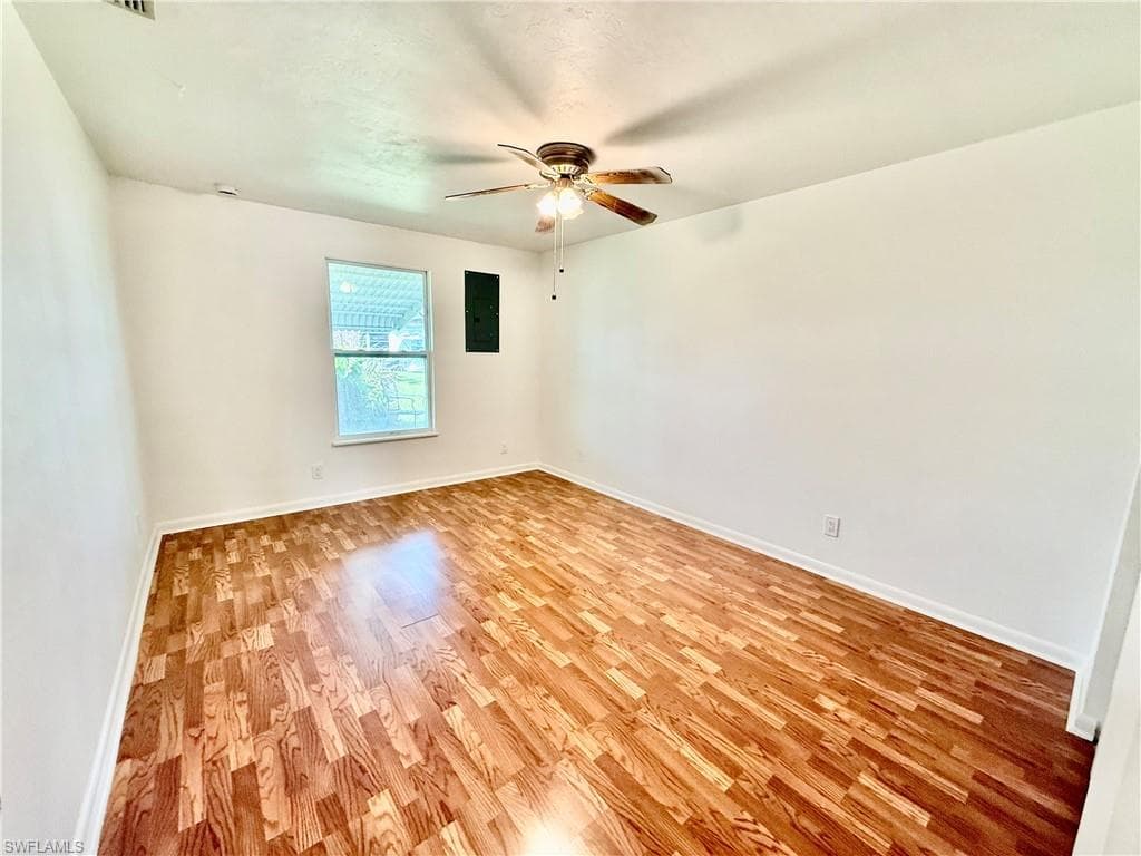 36 Heath Aster LN-14
