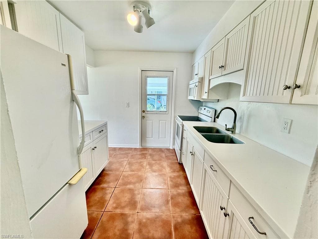 36 Heath Aster LN-11