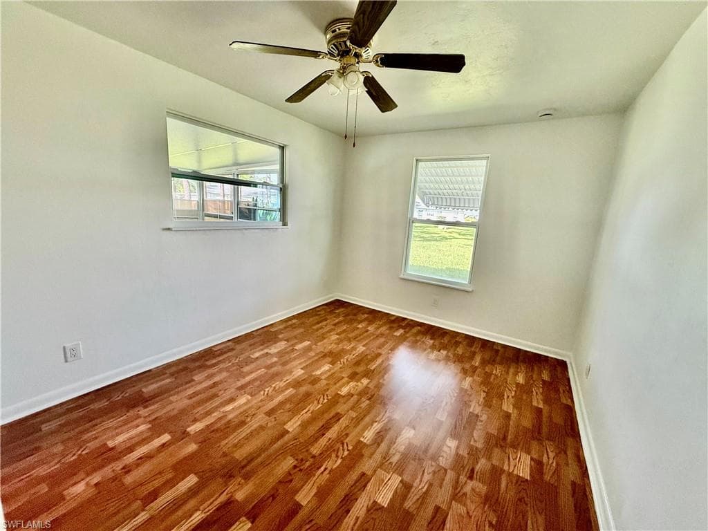36 Heath Aster LN-19