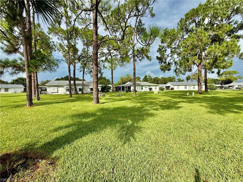 36 Heath Aster LN-4