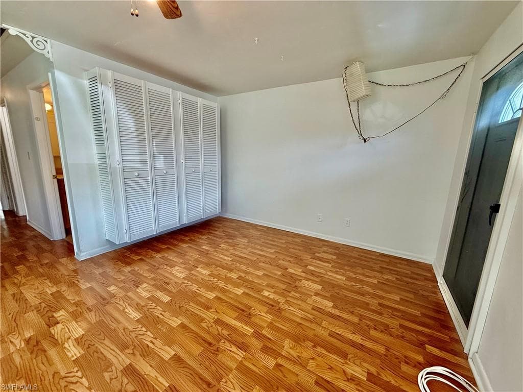 36 Heath Aster LN-8