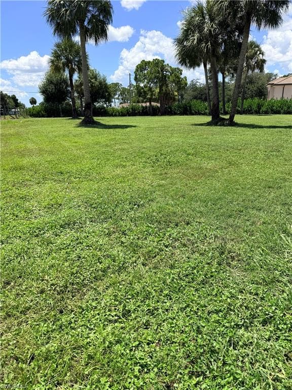 14480 Old Olga RD-31