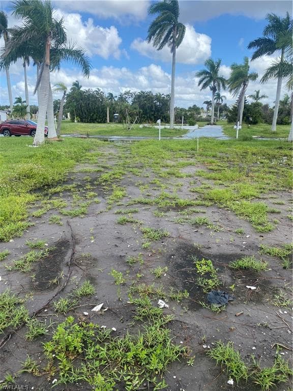 84 Birch BLVD-1