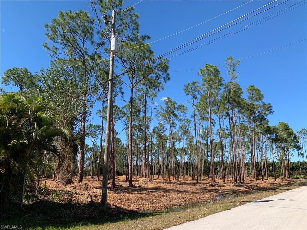 24000 Golden Eagle LN-1