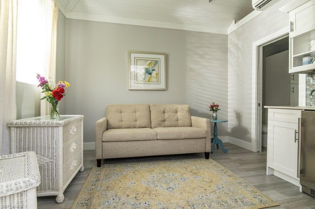 13596 Snook CIR-9