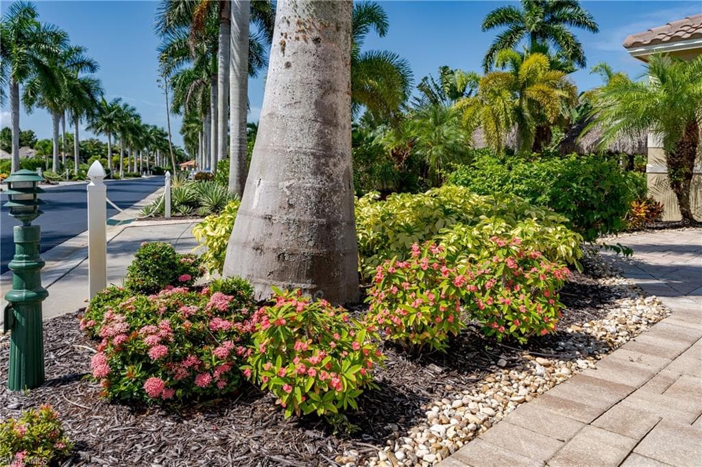 13596 Snook CIR-30
