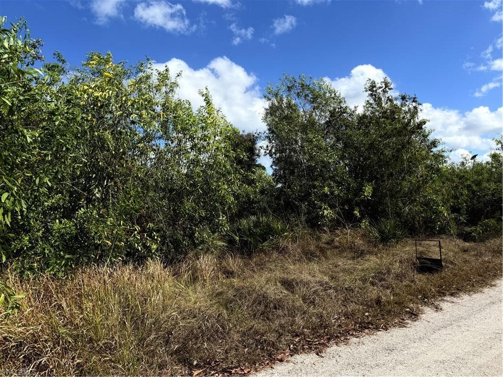 5950 Sandal LN-4