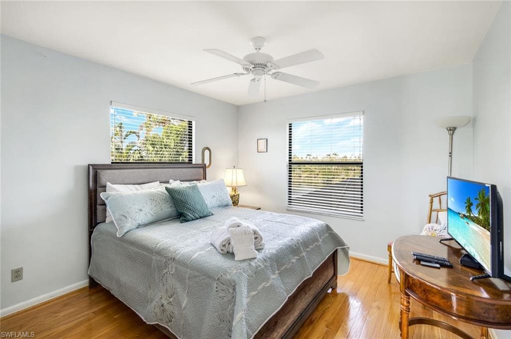 647 Rabbit RD-19