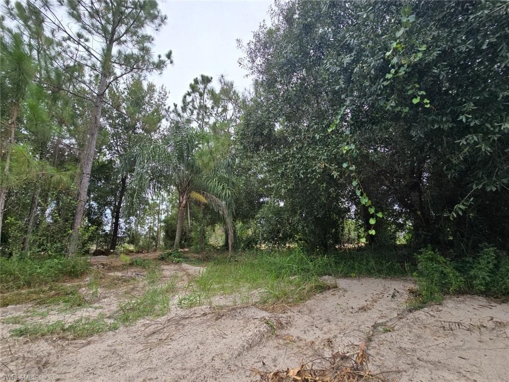 11921 Vista Ridge DR-19