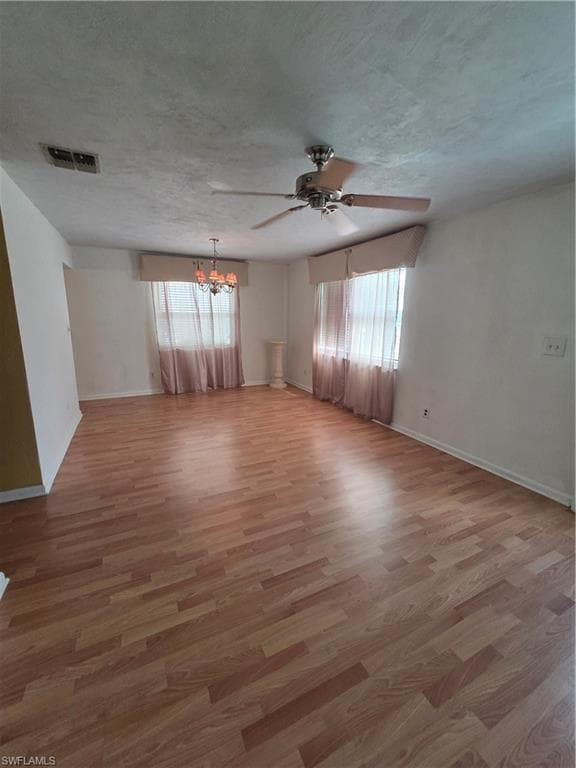 52 Heath Aster LN-6
