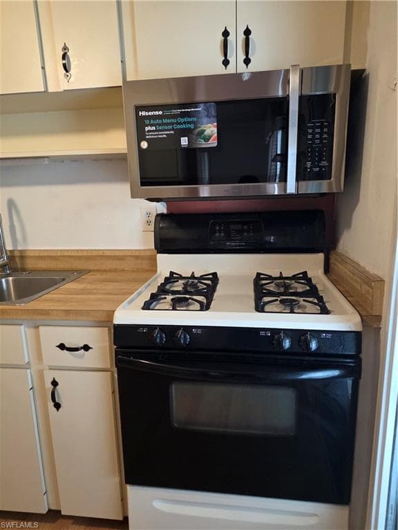 52 Heath Aster LN-13