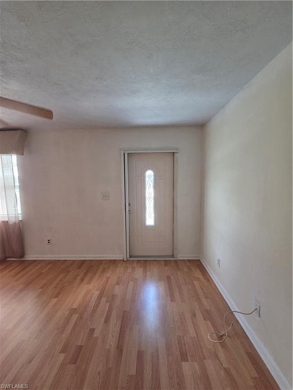 52 Heath Aster LN-7