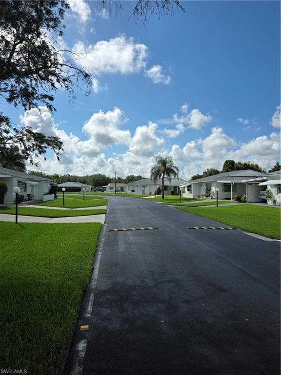 52 Heath Aster LN-3