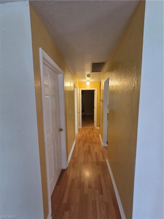 52 Heath Aster LN-24