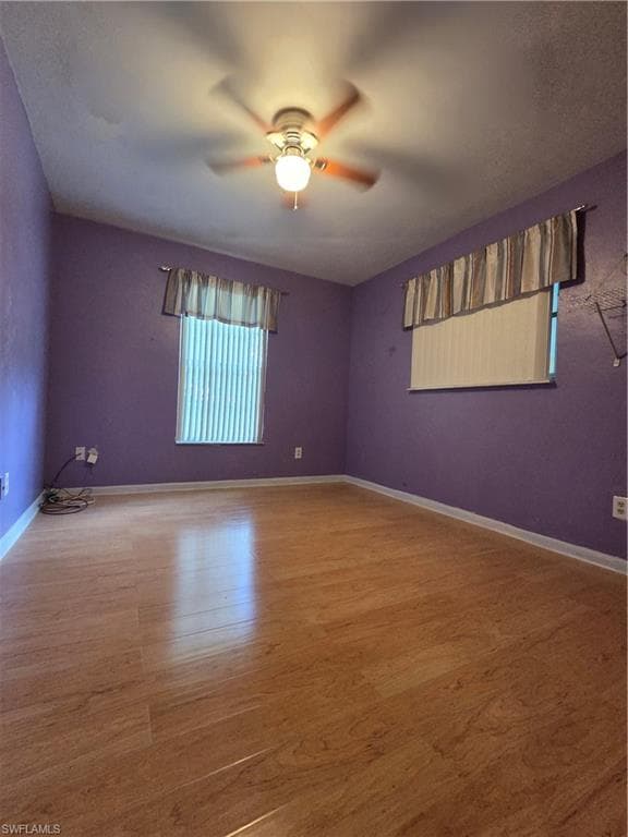 52 Heath Aster LN-14