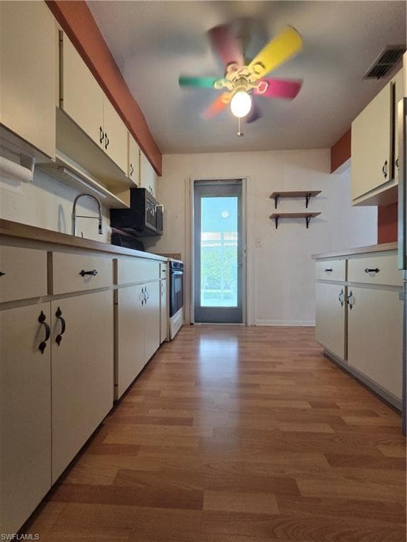 52 Heath Aster LN-11