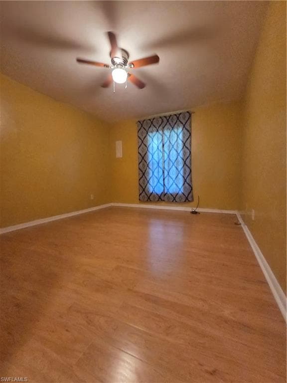 52 Heath Aster LN-19
