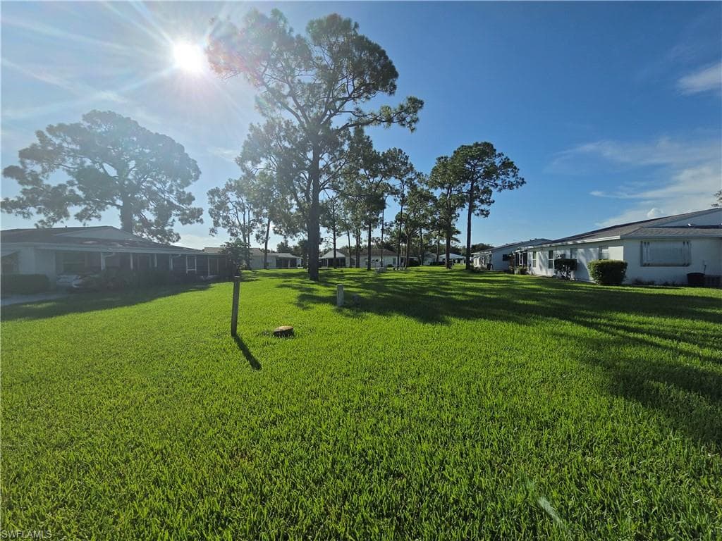 52 Heath Aster LN-39