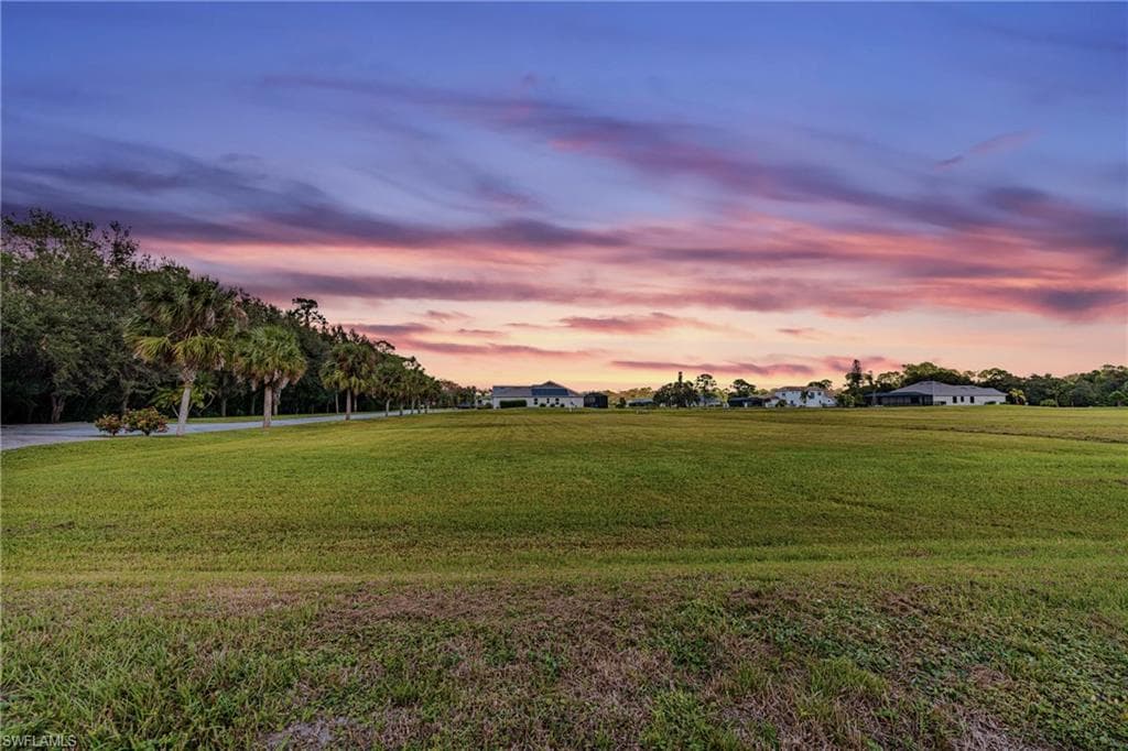 17109 Serengeti CIR-8